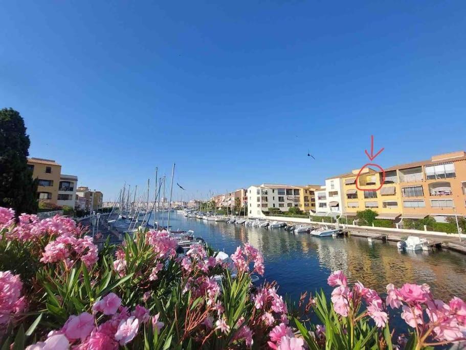 Cap'Nomad Studio Cote Port - Terrasse - Piscine - Parking Agde Exterior foto