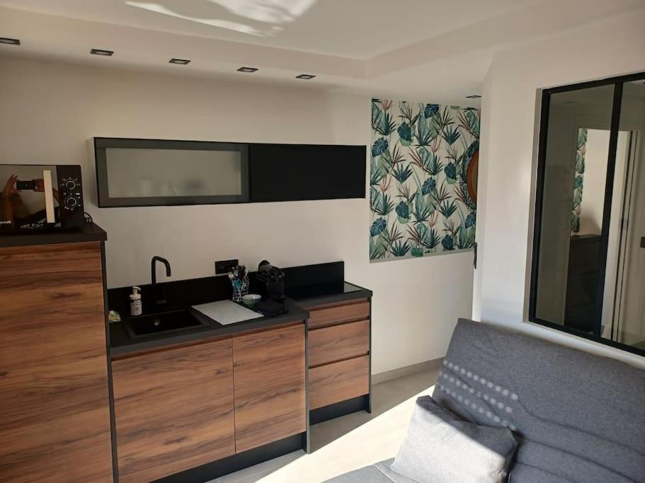 Cap'Nomad Studio Cote Port - Terrasse - Piscine - Parking Agde Exterior foto